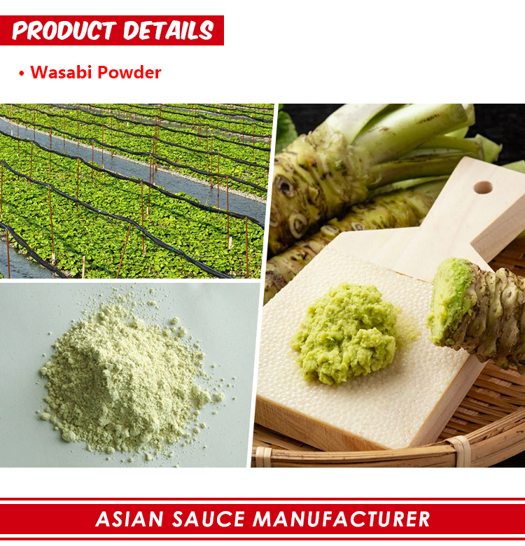 Wasabi Powder Wasabi polvere
