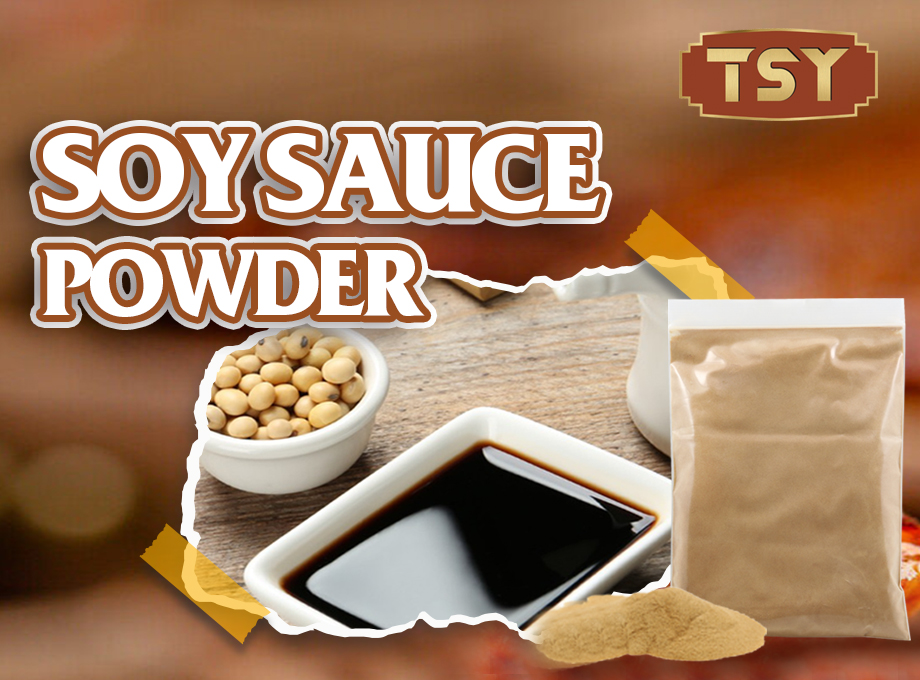 come usare la salsa di soia in polvere